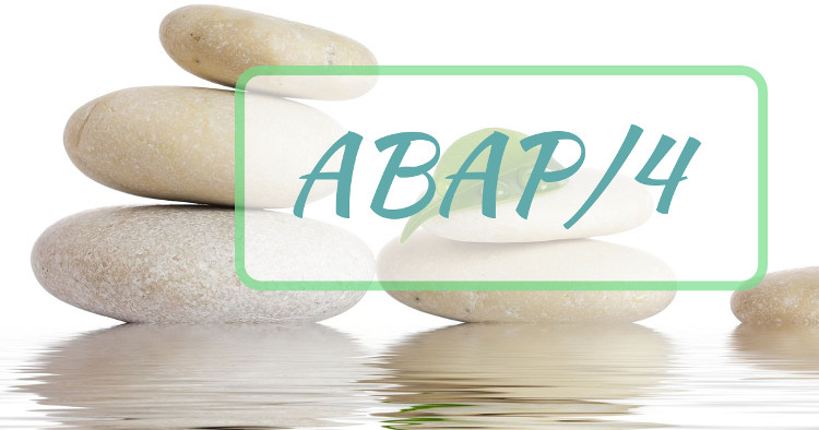 corso abap4 corso abap4